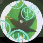 Deep-Forest-Sweet-Lullaby-Front